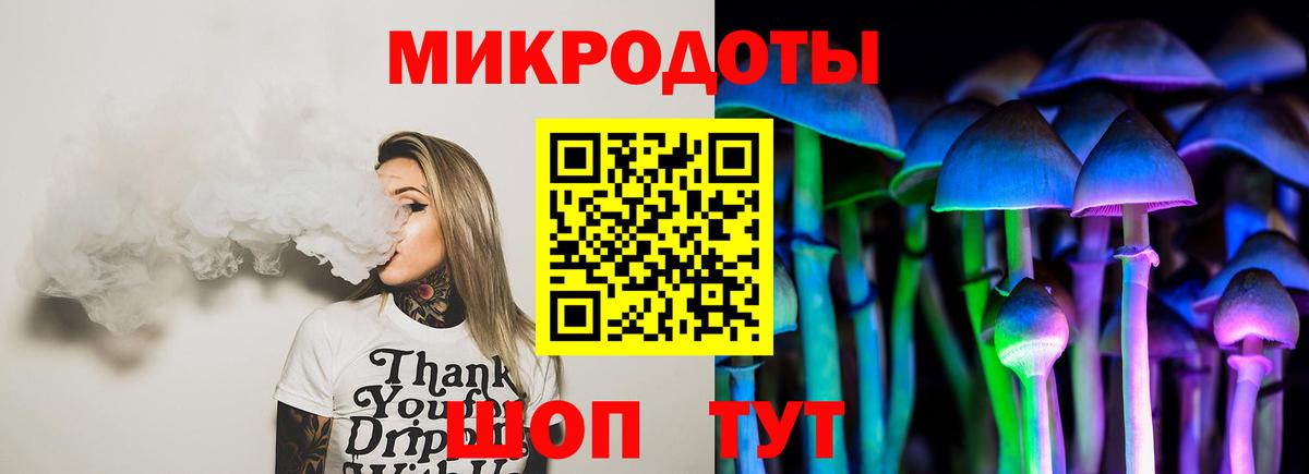 Псилоцибиновые грибы Psilocybine cubensis Добрянка